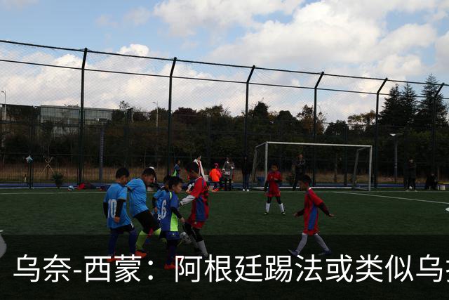 乌奈-西蒙：阿根廷踢法或类似乌拉圭，我们的风格不变