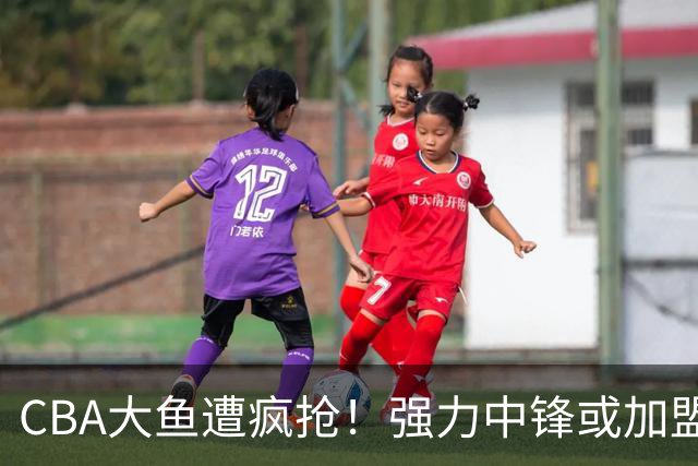 CBA大鱼遭疯抢！强力中锋或加盟广东，杜锋这下偷着乐？