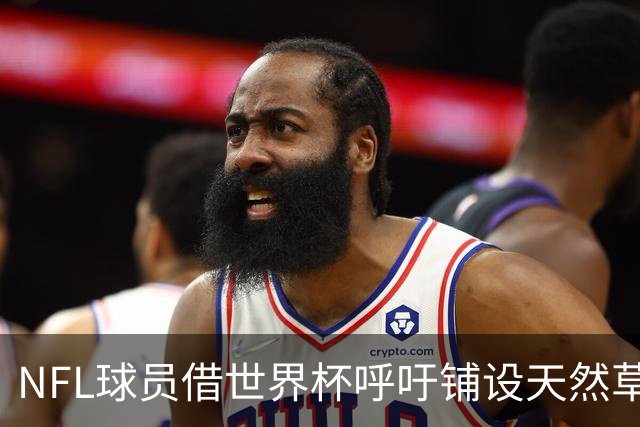 NFL球员借世界杯呼吁铺设天然草，专家：成本问题客观存在，可行性存疑
